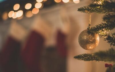 DECEMBER: 8 FUN THINGS TO DO