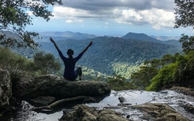 GOLD COAST RAINFOREST