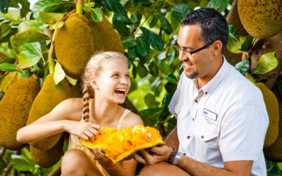 TROPICAL FRUIT WORLD