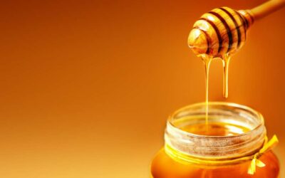 HONEYWORLD GOLD COAST