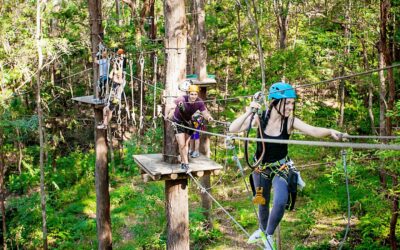 TREE TOP CHALLENGE CWS