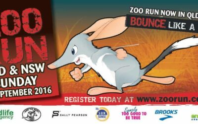 ZOO RUN
