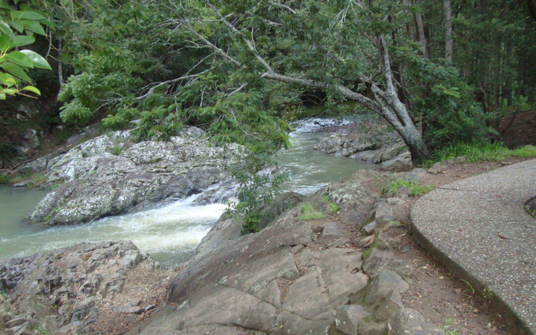 A Currumbin Valley morning: swimming holes and green shade