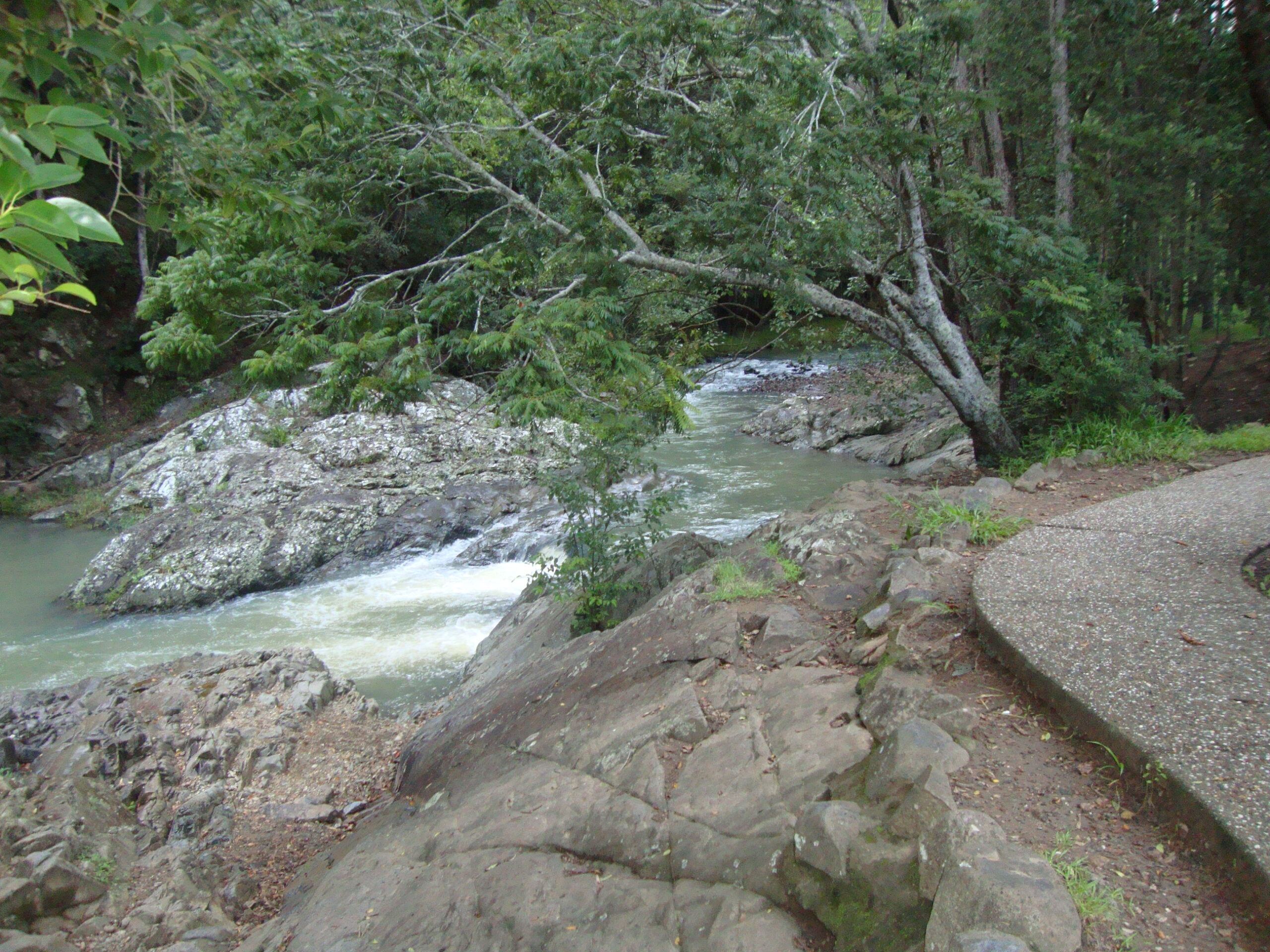currumbin-valley-morning Currumbin Valley swimming holes at the rock pools under green shade