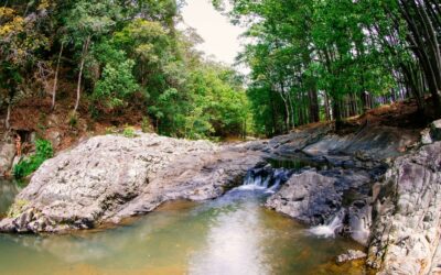 Currumbin costs nothing: the free list from the Sands