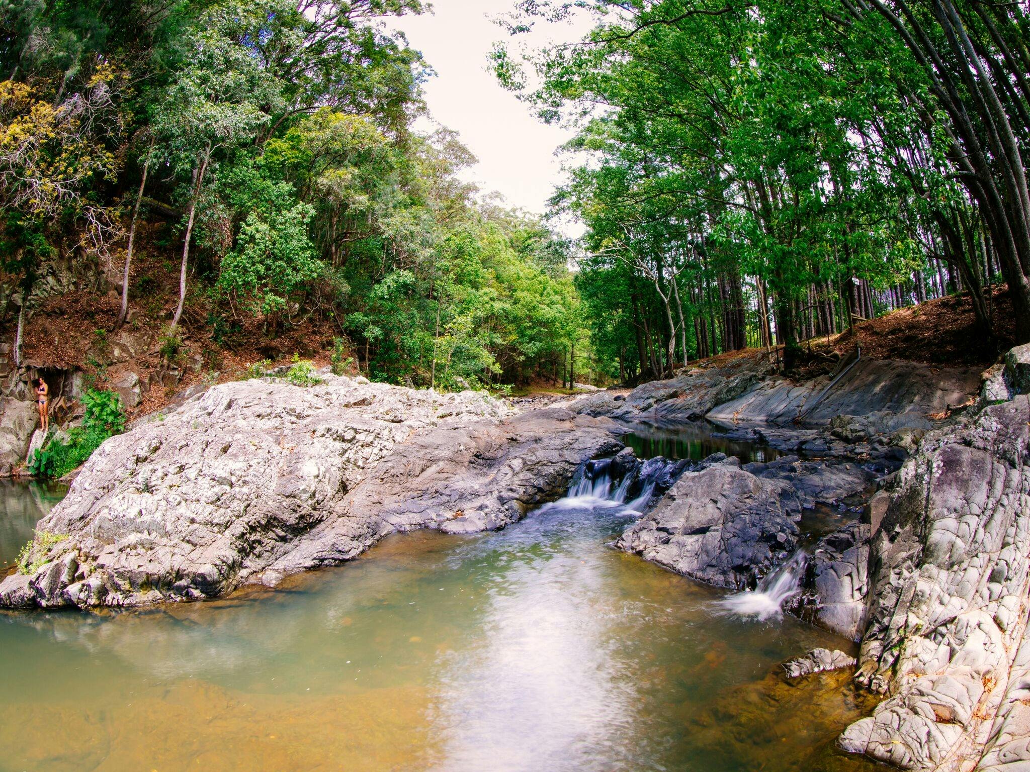 free-things-to-do-currumbin Currumbin Rock Pools freshwater swimming hole, a free thing to do in Currumbin Valley
